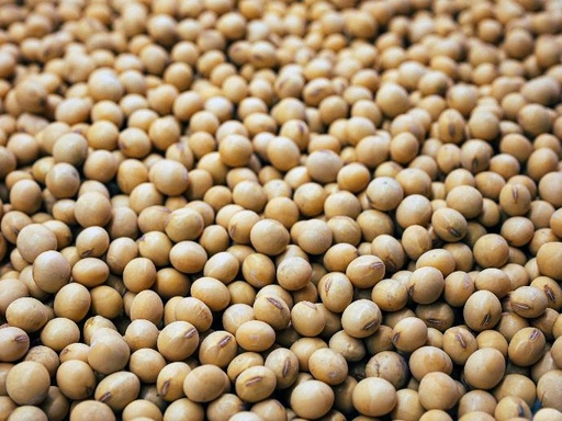 [25432] Fermented Soy Isoflavones P.E. 20% Dadizein, 20% Genistein