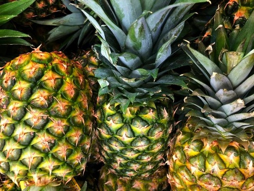 [25664] BIO Ananas P. (18839)