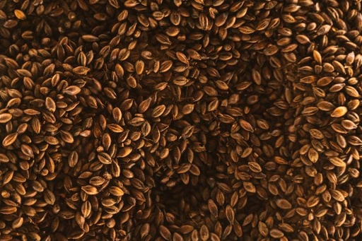 [25739] Flax seed P.E. 20% SDG (18659)
