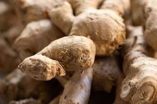 [25762] Ingwer P.E. 10% Gingerole