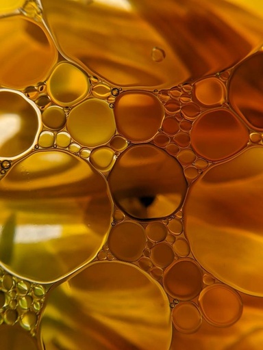 [25911] Algenöl 30% DHA, 15% EPA Omega 3 (Schizochytrium sp) (15760)