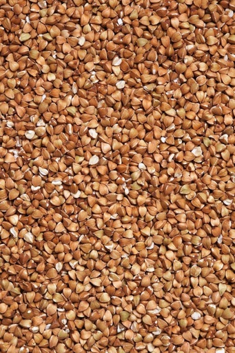 [26348] ORGANIC Buckwheat P. (18883)
