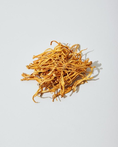 [26448] Cordyceps sinensis P.E. 30% Polysaccharide CS-4 (18885)