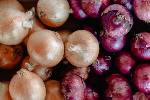 [26458] Onion P.E. 70% Quercetin (18845)