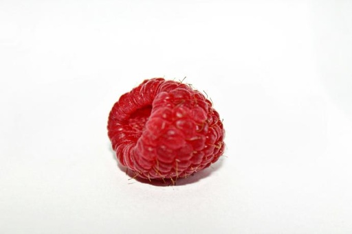 [26526] ORGANIC Raspberry P. (18890)