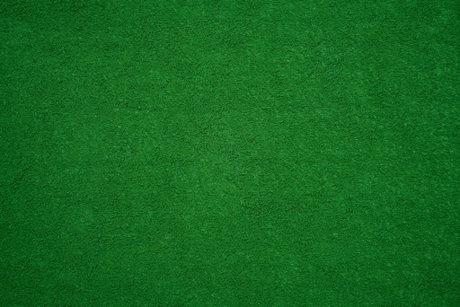 [26538] BIO Chlorella P. 50% Protein (18846)