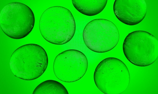 [26897] Chlorella P. EU (18846)